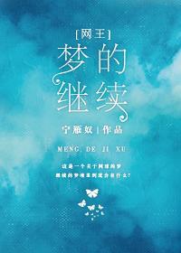 [网王]梦的继续封面