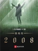回檔在2008封面