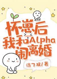 怀崽后我和Alpha闹离婚封面