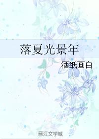 落夏光景年封面