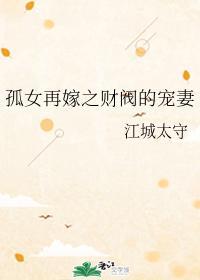 孤女再嫁之财阀的宠妻封面