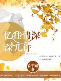 忆往情深深几许封面