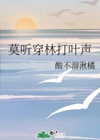 莫听穿林打叶声封面