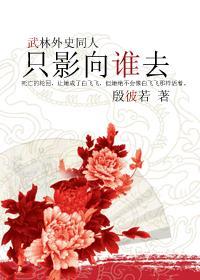武林外史同人只影向谁去封面