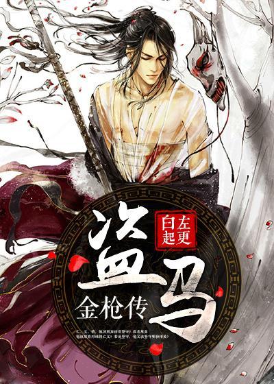 盗马金枪传封面