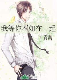 我等你不如在一起封面