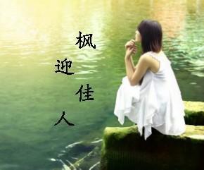 枫迎佳人封面