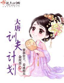 大唐驯夫计划封面