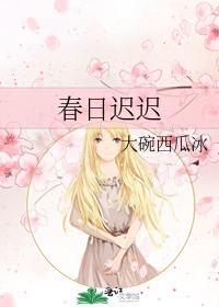 春日迟迟封面