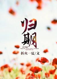 归期封面