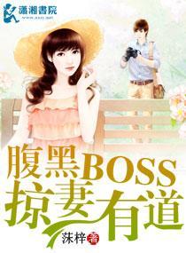 腹黑BOSS掠妻有道封面