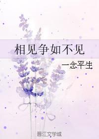 相见争如不见封面