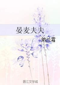 晏麦夫夫封面