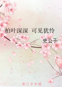 柏叶深深 可见犹怜封面