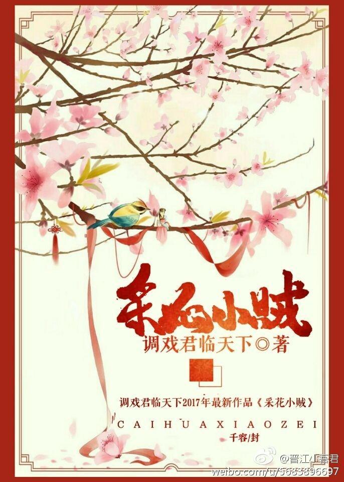 采花小贼gl封面
