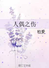 人偶之伤封面