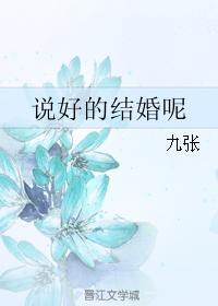说好的结婚呢封面