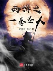 西游之一拳圣人封面