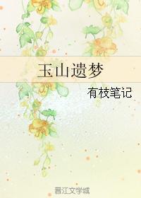 玉山遗梦封面