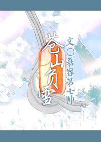 苍山负雪封面