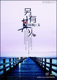 另有其人封面