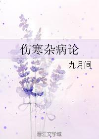 伤寒杂病论封面