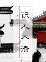 识人不清封面