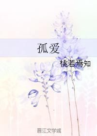 孤爱封面
