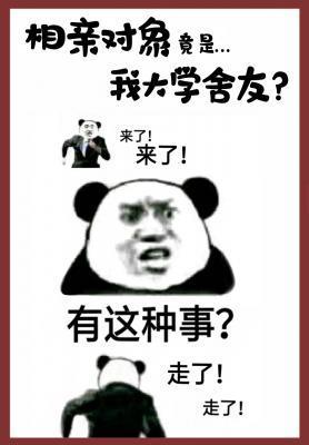 相亲对象竟是我大学舍友abo封面