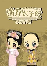 清穿太子妃封面