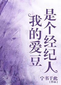 我的爱豆是个经纪人封面