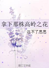 拿下那株高岭之花封面