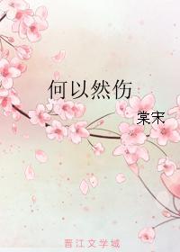 何以然伤封面