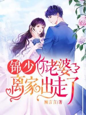 锦少：你老婆离家出走了封面