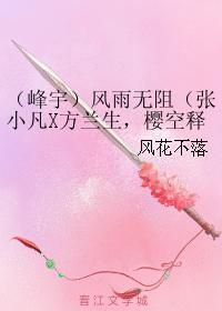 （峰宇）风雨无阻（张小凡X方兰生，樱空释）封面