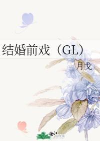 结婚前戏封面