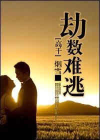 劫数难逃封面