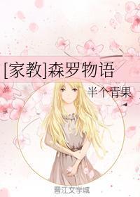 家教同人之森罗物语封面