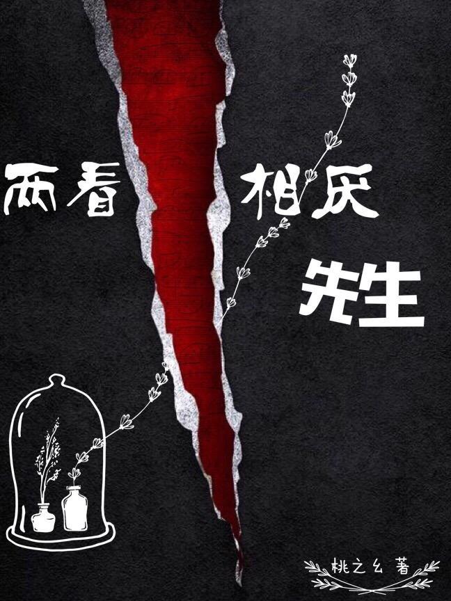 两看相厌先生封面