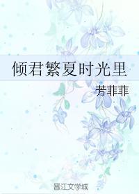 倾君繁夏时光裏封面