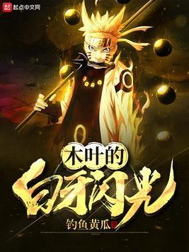 木叶的白牙闪光封面