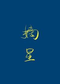 摘星予你封面