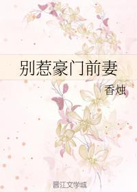 别惹豪门前妻封面