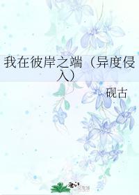 我在彼岸之端（异度侵入）封面