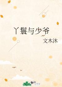 丫鬟与少爷封面