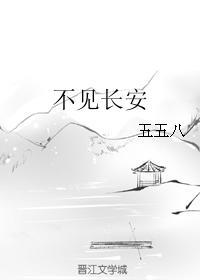 不见长安封面