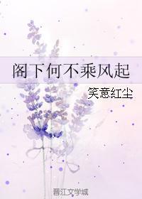 阁下何不乘风起封面