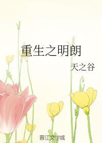 重生之明朗封面