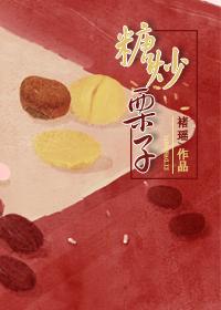 糖炒栗子封面