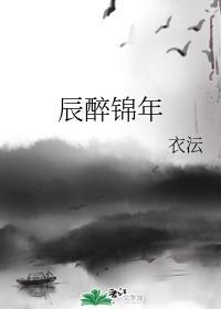 辰醉锦年封面